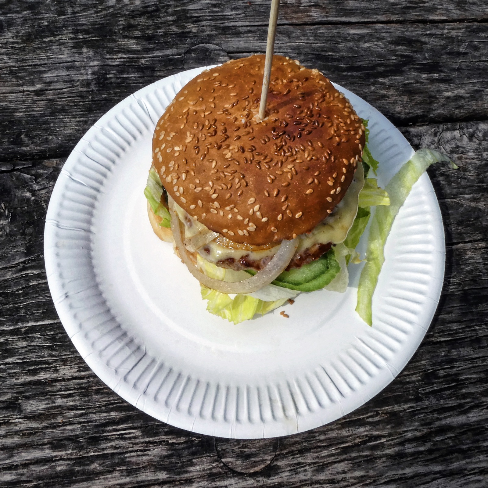 Cheeseburger with lettuce, tomato and onion served on a plate